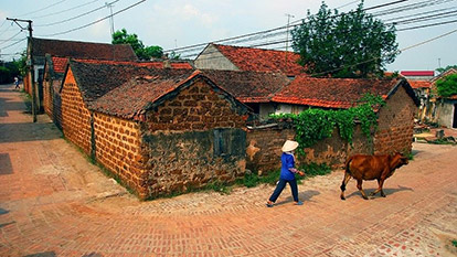 Cheap package of Duong Lam ancient village tour in Hanoi | 1 day 