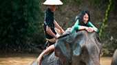 Elephant ride in Luang Prabang