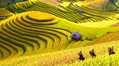 Sapa-Discovery-by-Train-1-night-in-home-stay-5-Days-4-Nights-008