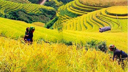 Non-stop charming discovery of Sapa trip from Hanoi | 6 days 5 nights