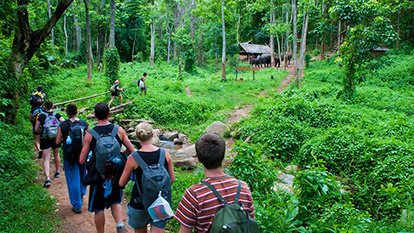 Discovery of Trang An grottoes and Cuc Phuong national park tour | 2 days 1 night