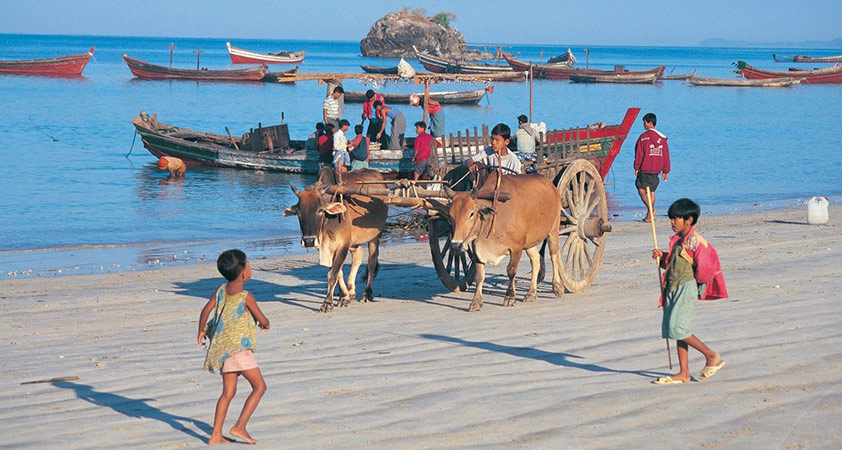 Daily life on Ngapali beach 