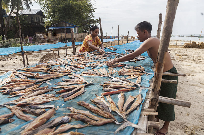 Visit fishing village in Ngapali 