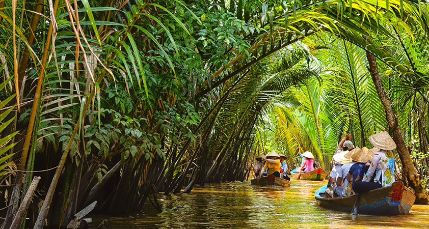 Sampan cruise through canals to Ben Tre