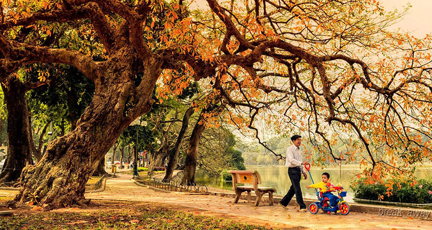 Hanoi walking street is like a heaven in the autumn