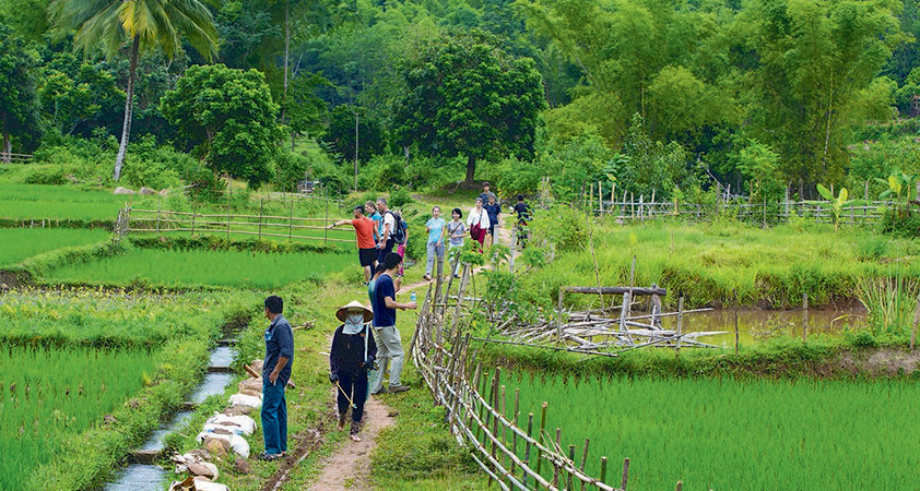 Trekking trip to Mai Chau valley 